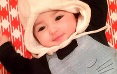 母婴网红号,育儿知识分享与互动新平台