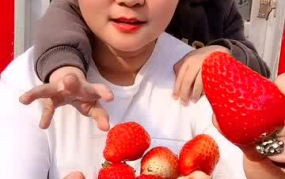 新蔡草莓小姐姐,草莓园里的甜美使者